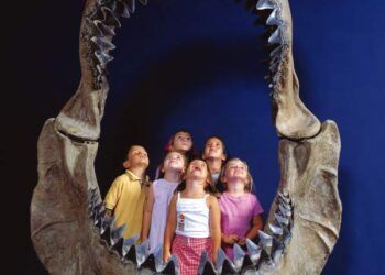 להקוניאצ'ה – מקלט טבעי לחיות בר