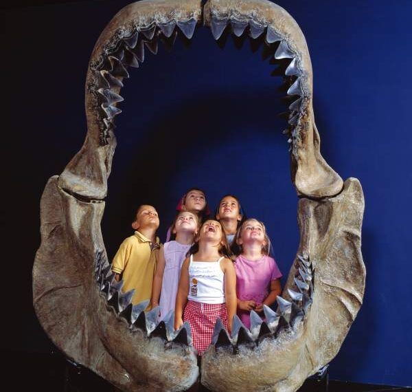 להקוניאצ'ה – מקלט טבעי לחיות בר