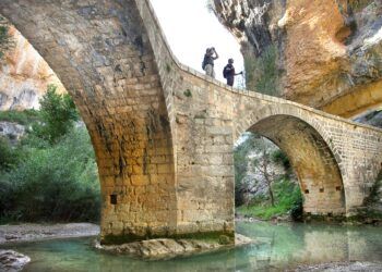 ביקור באראגון לכל המשפחה