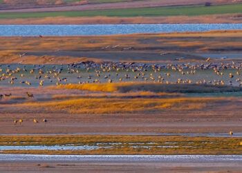 La Laguna de Gallocanta en la tarde del eclipse: cuando el cielo y la naturaleza comparten protagonismo